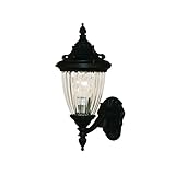 Z-Lite 504S-BK Waterloo Outdoor Wall Light, Aluminum Frame, Black Finish and Ribbed Semi Clear Shade