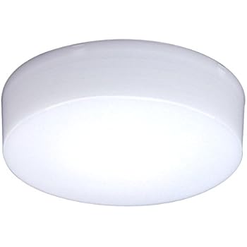 アイリスオーヤマ LED シーリングライト 小型 100W相当 昼白色 750lm SCL7N-E