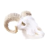 Fenteer 樹脂　水族館　生き生き　飾り　タンク　装飾　工芸品　環境美化　テラリウム　爬虫類　多種類選べ - ヤギの頭蓋骨