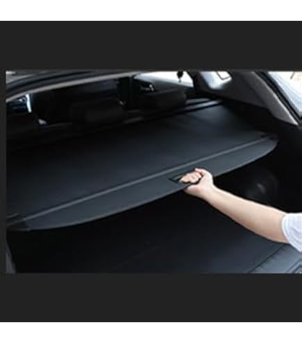 TOYOTAPRIUSαトヨタプリウスαプリウスアルファ純正オプション