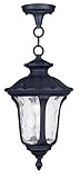 Livex Lighting 7849-04 Oxford 1 Light Outdoor Chain Hang, Black [並行輸入品]