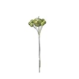 asca アップルベリーピック (1袋6本入) グリーン 11cm A-15324