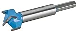 Roman Carbide DC1895 Carbide Forstner Bit, 24mm [並行輸入品]