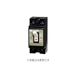 河村電器産業 SE2P2E40H ノーヒューズブレーカ SBサイズ/ホーム分電盤分岐回路用 定格電流40A