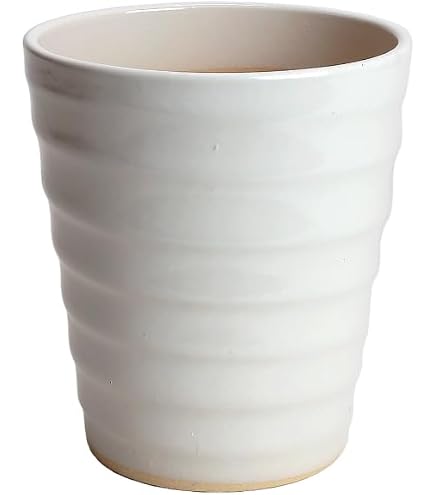 Amazon.co.jp: 【2個セット】ビスク(無釉薬)磁器製 植木鉢 大 4号 白