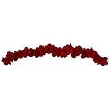 5' Amaryllis Garland
