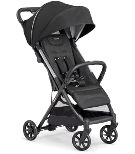 Amazon.co.jp: Inglesina QUID2α イングリッシーナ クイッド2α 【日本