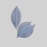 ~Coco Heart~ ハーバリウム　花材　ミニスケルトン　リーフ　大　ブルー　20枚　ハーバリウム　キャンドル　アロマワックスバー　作りに（木の実・ドライフラワー.リース、アレンジ）