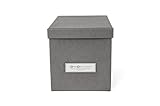 Bigsobox KRISTINA 小型収納ボックス(グレー) 9461/541