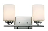 Trans Globe Lighting 70522 BN 2-Light Bath Bar, Brushed Nickel [並行輸入品]
