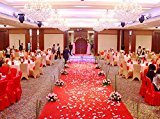 elegantstunning ウェディング/パーティー装飾花びら　純色　インテリア花　屋外装飾　新婚部屋装飾 バレンタインデー　ホワイトデー　プロポーズ 記念日 誕生日 ライトピンク 1000枚