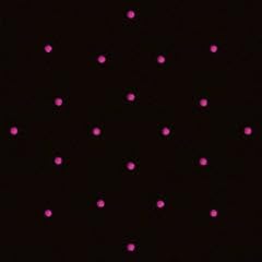 MUSIC / ��g�u��