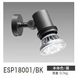 岩崎電気 屋外スポットライト 防雨形 黒色サテン E26口金 100V専用器具 ランプ別売 ESP18001/BK