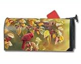 Magnet Works, Ltd. Cardinal Afternoon Mailwrap