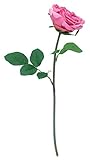 asca 造花 ローズ ローズ A-32139-005