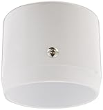 RAB Lighting MCAP3W Mighty Post Cap for 3' Pipe, 2-7/8' OD, White [並行輸入品]