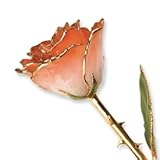 Long Stem Dipped 24 Kゴールドトリムホワイト&オレンジラッカー塗装純正ローズinギフトボックス