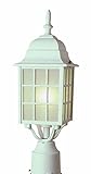 Trans Globe Lighting 4421 BG 18-1/2-Inch 1-Light Outdoor Post Top Lantern, Black Gold [並行輸入品]
