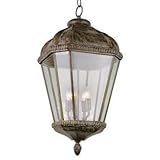 Trans Globe Lighting 5156 BRT 4-Light Hanging Lantern, Burnished Rust [並行輸入品]