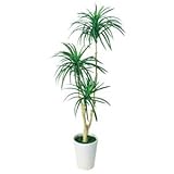 ワーカー・ビー 人工樹木 ドラセナユッカ WB25-131ct