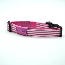 Amazon | 【TUNERS公式】TUNERSアニマル/アニマルバランスバンド/犬