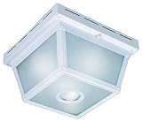 Heath Zenith Motion Activated Outdoor Ceiling Light 5.5 In. Wht [並行輸入品]