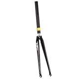 TNI フルカーボンロード650 オーバーサイズ カーボンフォーク