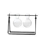 Fenteer ハンギングアイロン　花瓶　花　水耕栽培　テラリウム容器　6タイプ選べる - 2