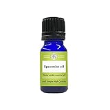 アンドエスエイチ アロマ 水溶性 エッセンシャルオイル スペアミント 10ml