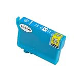 ICC69 顔料 単品 エプソンプリンター用 互換インク 残量検知機能付 (IC69 PX-S505 PX-045A PX-105 PX-405A PX-046A PX-047A PX-435A PX-505F PX-436A PX-437A PX-535F)