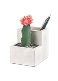 Concrete Desktop Planter コンクリートデスクトッププランター (S)