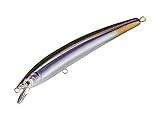 スミス(SMITH LTD) ミノー パニッシュ SP 55mm 2.7g #42 ゴーストミラーワカサギ