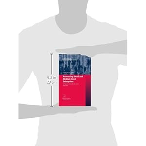 Resourcing Small and Medium Sized Enterprises: A Financial Growth Life Cycle Approach (Contributions to Management Science)