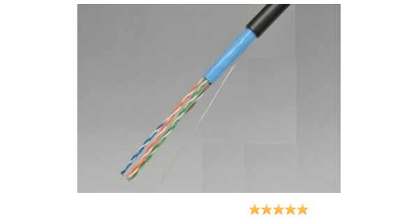 Amazon 日本製線 屋外用cat6ケーブル Nsgdt6 Lap 0 5mm 4p 100m 日本製線 パソコン 周辺機器 通販