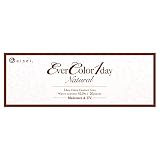 カラコン エバーカラー ワンデー ナチュラル 1箱20枚入 EverColor 1day Natural 14.5mm 8.7mm 度あり 度なし 新木優子 PWR：-4.50／COLOR：アプリコットブラウン