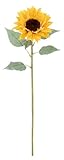 造花　アルルのヒマワリ　(L)