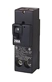 Siemens QN2200 200-Amp 4 Pole 240-Volt Circuit Breaker by Siemens [並行輸入品]
