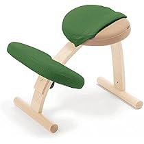 Amazon｜バランス イージー 専用カバー【カバーのみ】 バランスラボ(旧  