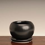 洋風モダン鉢(受け皿付・黒色) 14cm