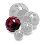 ゴム ボール てんとう虫 L LFT251070