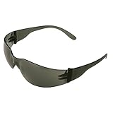 ERB Safety 17501 Economy Iprotect Lens, One Size, Smoke Frame by ERB