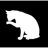 Amazon  猫 ネコ ねこ キャット cat サークル 動物 満月 ムーン Moon 