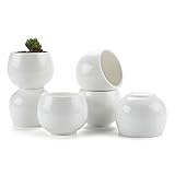 T4U 7CM 陶器鉢 白 ドラムシェイプ 多肉植物 サボテン鉢 フラワーポット プランター容器 6個入り