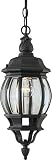 Forte Lighting 1702-01-04 Traditional 1-Light Exterior Hanging Lantern with Clear Beveled Glass, Bla