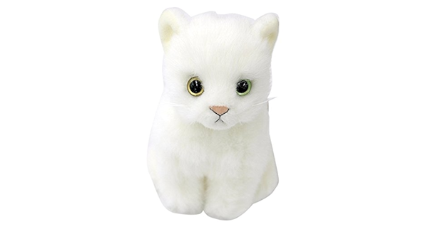 Amazon  日本製リアル 猫のぬいぐるみ 子猫 約20cm (座り, シロネコ 