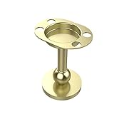 Allied Brass GL-55-SBR Tumbler/Toothbrush Holder, Satin Brass [並行輸入品]