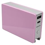 ラスタバナナ iPhone iPad モバイルバッテリー AC充電器 5000mAh Type-C Type-A 1ポート ライトパープル RLI050AC3A01LPU