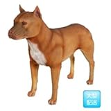 FRP　ピットブル / PitBull　【犬オブジェ　アニマルオブジェ　店舗・イベント向け】