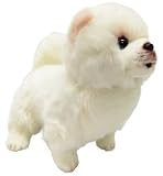 ポメラニアン サマーカット ぬいぐるみ クリーム 白 伏せ 立ち 犬 おもちゃ 雑貨 グッズ (ホワイト) [並行輸入品]