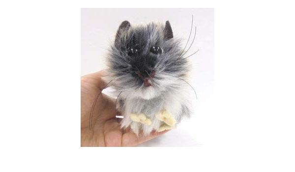 Amazon Co Jp 動物雑貨 536番 黒顔チンチラ ぬいぐるみ おもちゃ
